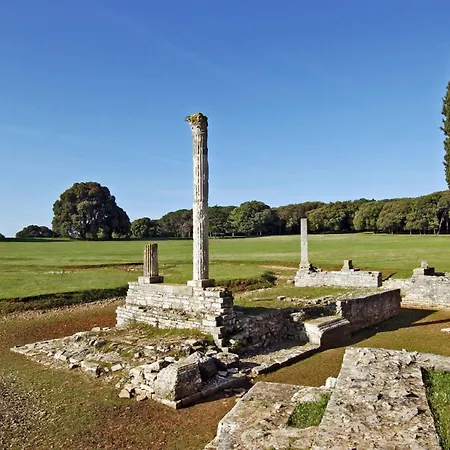 Piccolo 4* 보드냔